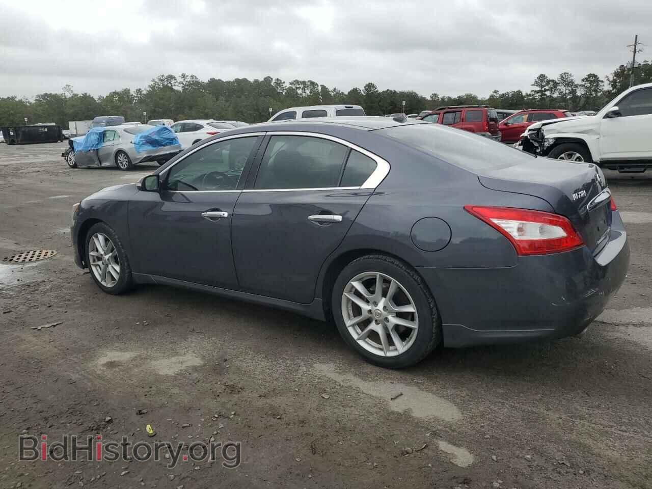 2009 NISSAN MAXIMA - VIN: 1N4AA51E49C828336 - Фото 2