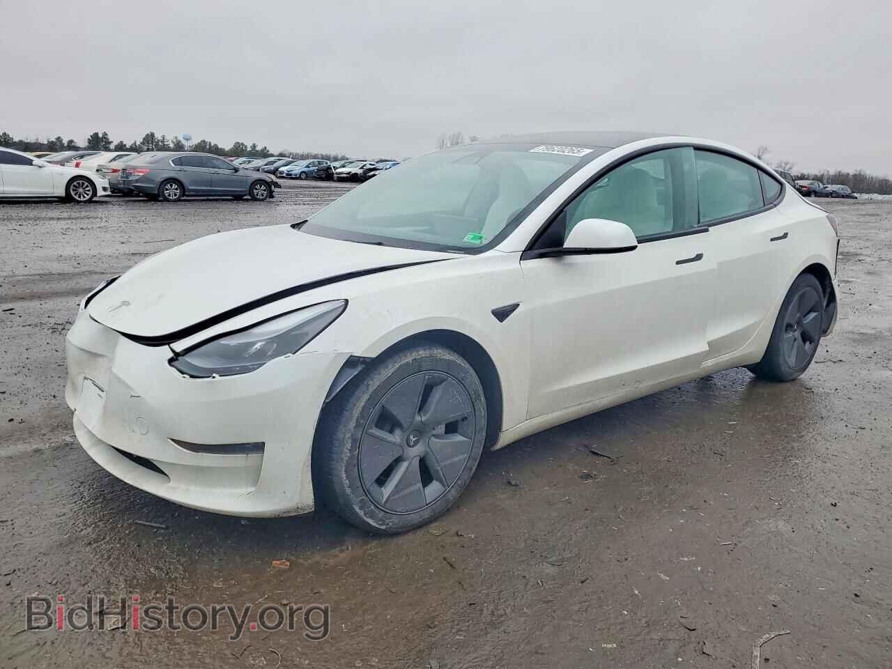 Photo 5YJ3E1EA1PF705147 - TESLA MODEL 3 2023