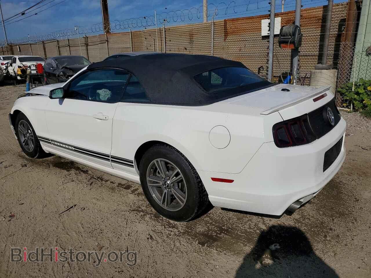 2013 FORD MUSTANG - VIN: 1ZVBP8EM3D5217496 - Фото 2