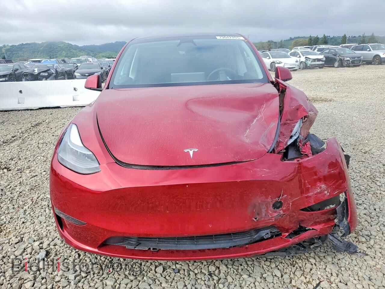 2024 TESLA MODEL Y - VIN: 7SAYGDEE5RF068757 - Photo 5