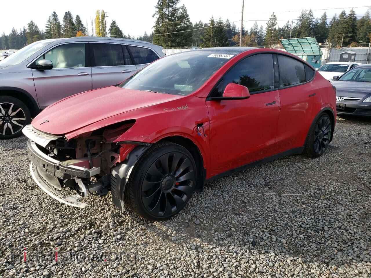 Photo 7SAYGDEF6PF802781 - TESLA MODEL Y 2023