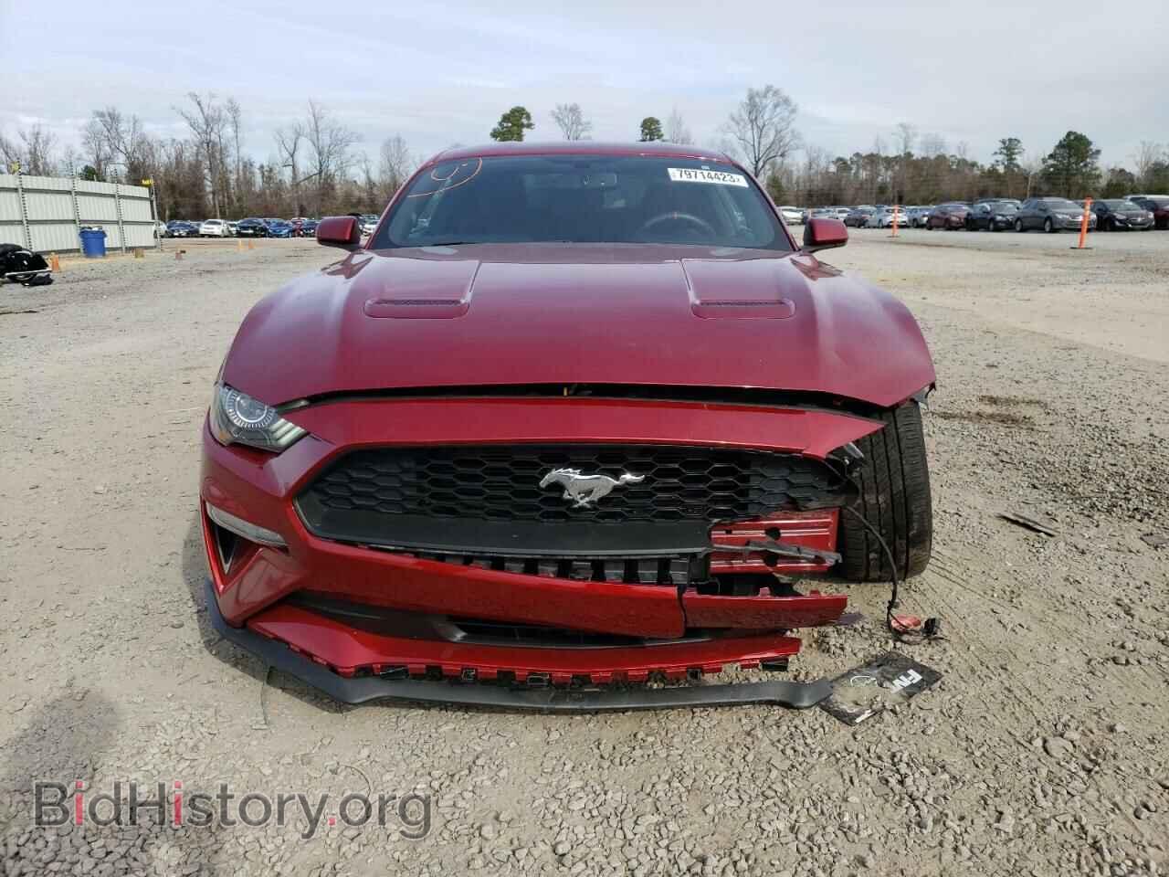 2019 FORD ALL Models - VIN: 1FA6P8TH8K5184458 - Фото 5