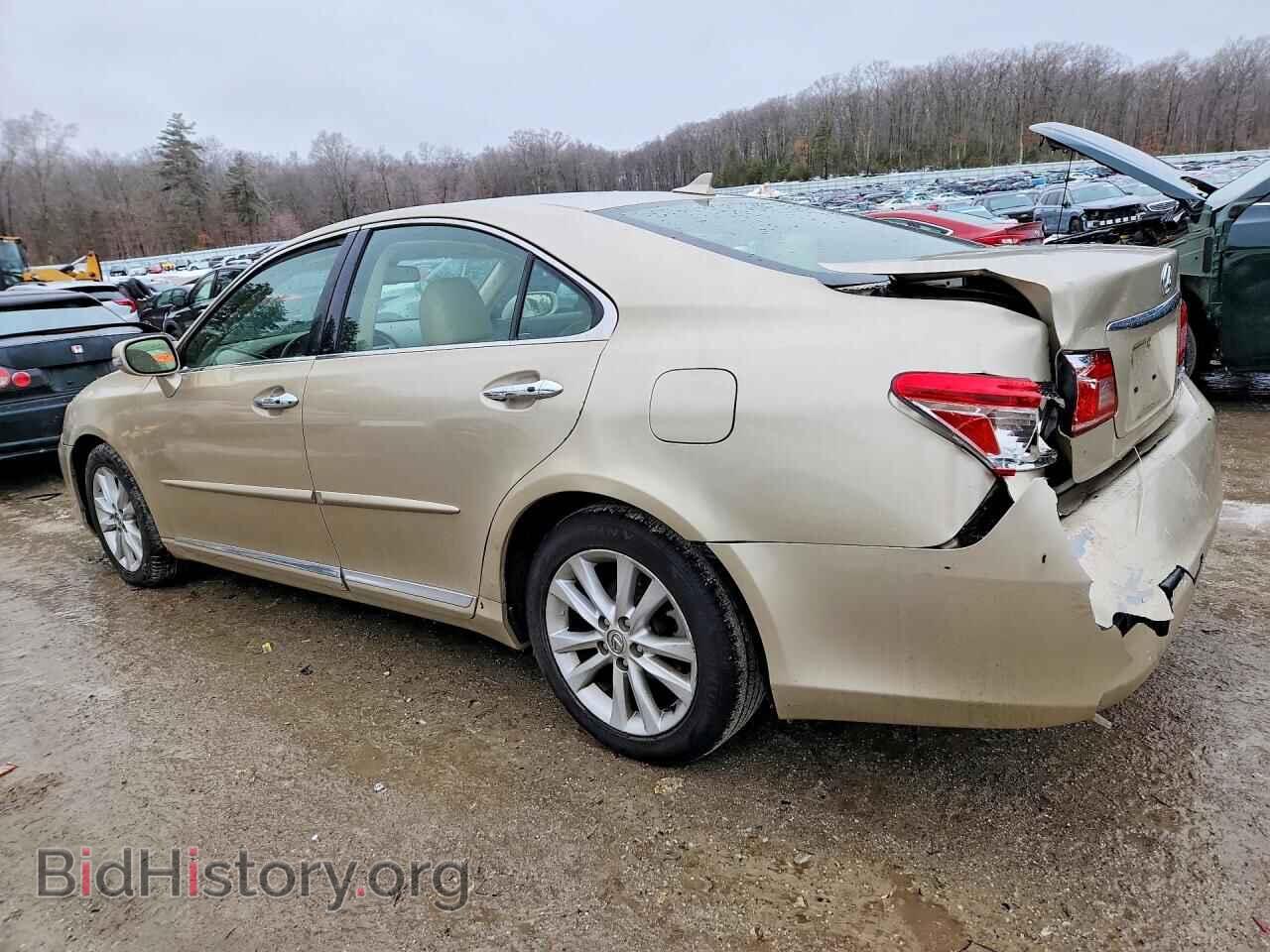 2011 LEXUS ES 350 - VIN: JTHBK1EG4B2424186 - Photo 2