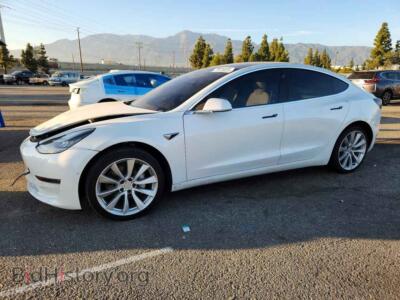2019 Tesla MODEL 3, white — VIN 5YJ3E1EA1KF509296, Copart