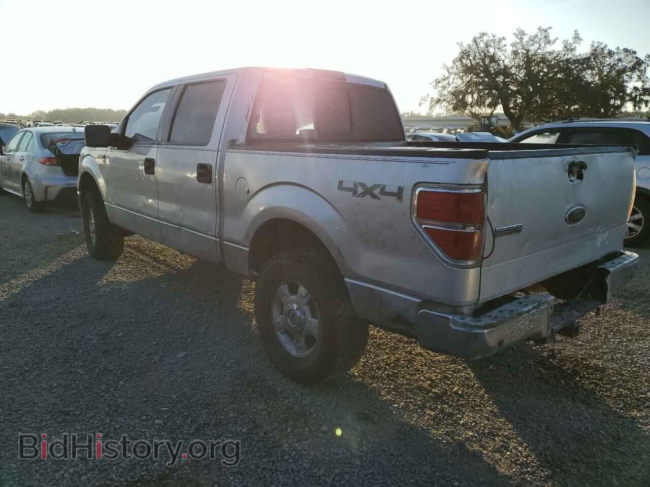 2010 FORD F-150 - VIN: 1FTEW1E88AFA60776 - Фото 2