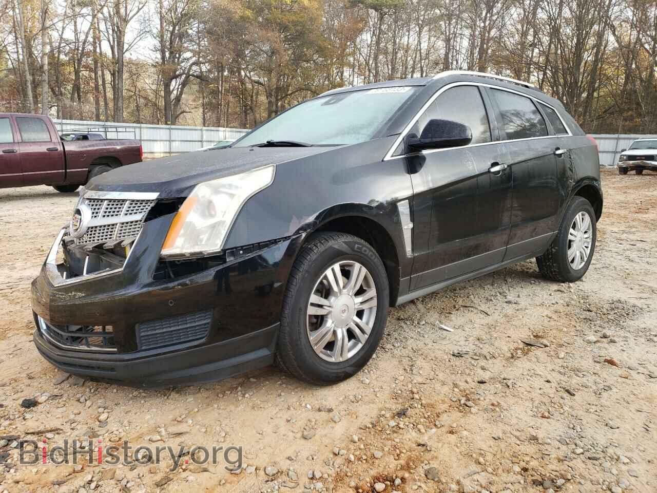Фотография 3GYFNAE39CS653728 - CADILLAC SRX 2012
