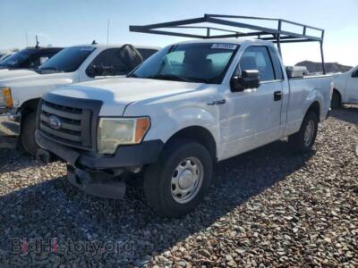 2011 Ford ALL MODELS F150, белый — VIN 1FTMF1CM4BFB03331, Copart