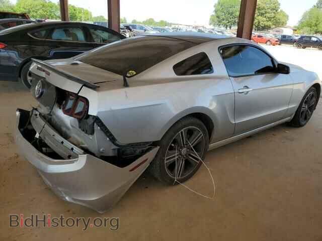 2013 FORD ALL Models - VIN: 1ZVBP8AM1D5261244 - Фото 3