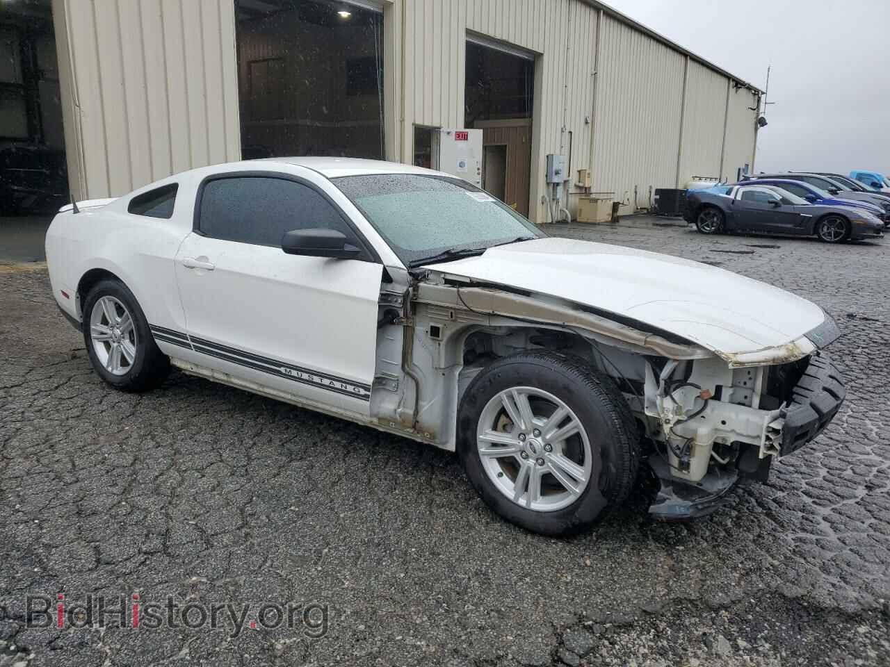 2011 FORD ALL Models - VIN: 1ZVBP8AM5B5133179 - Фото 4
