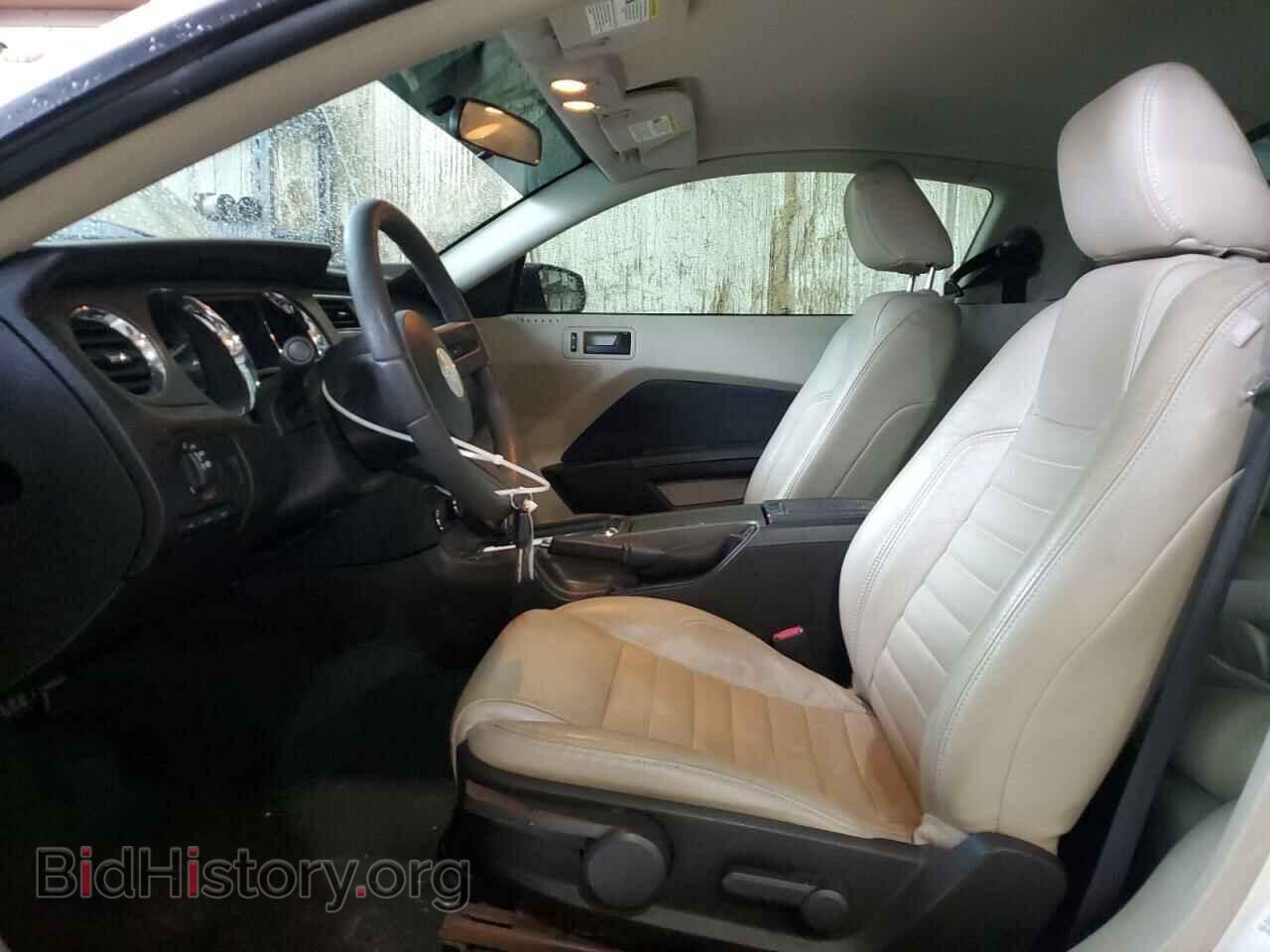 2011 FORD ALL Models - VIN: 1ZVBP8AM5B5133179 - Фото 7