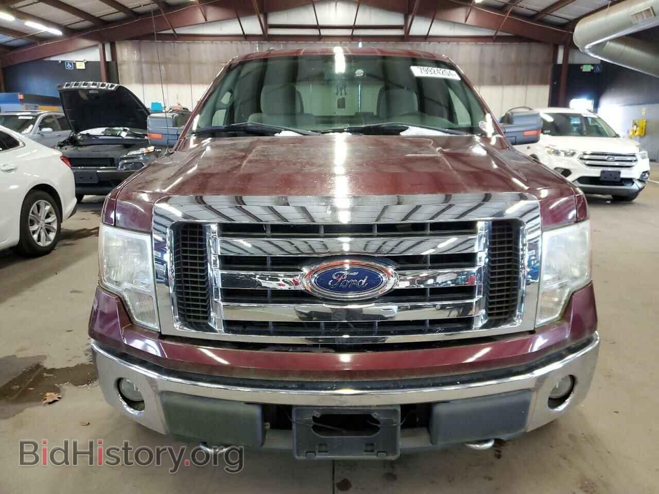 2010 FORD F-150 - VIN: 1FTFX1EV5AFB18429 - Фото 5