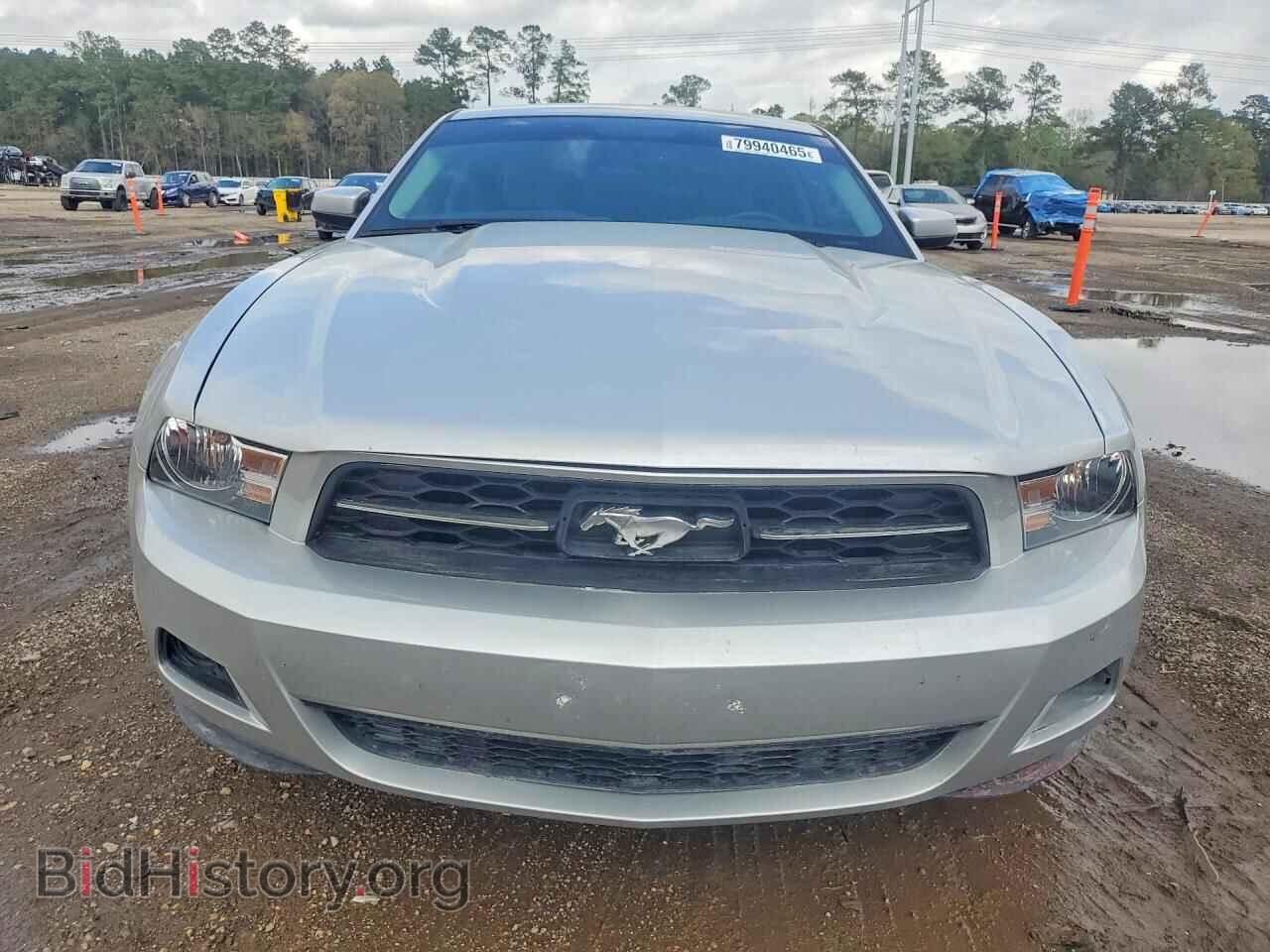 2010 FORD MUSTANG - VIN: 1ZVBP8AN2A5165434 - Фото 5