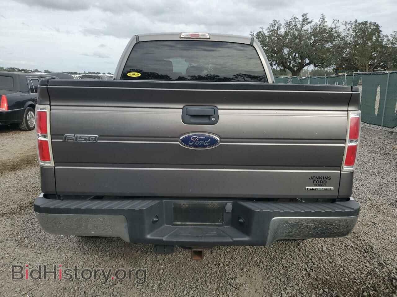 2013 FORD F-150 - VIN: 1FTEW1CM6DFC69647 - Фото 6