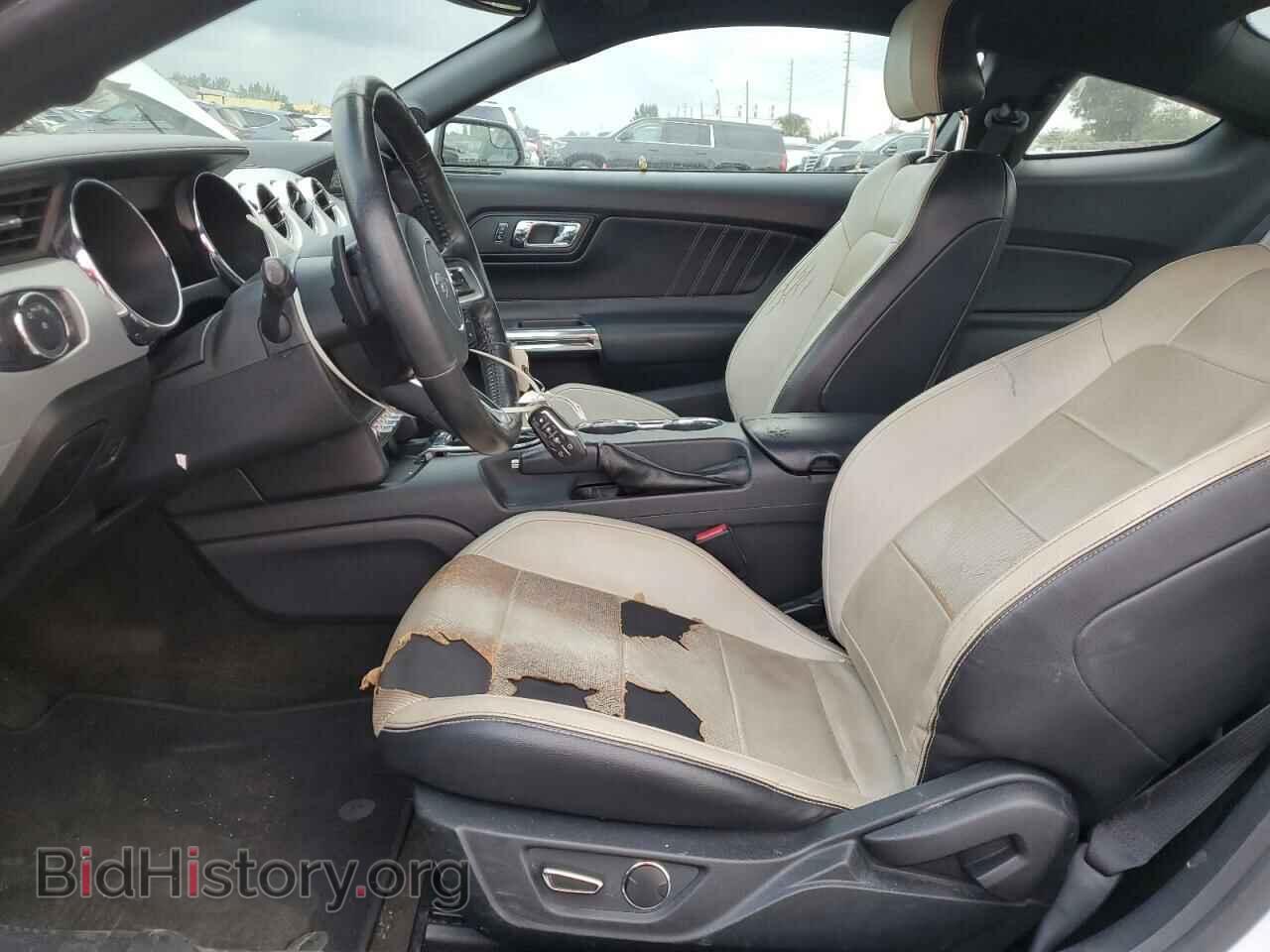 2016 FORD ALL Models - VIN: 1FA6P8TH4G5247241 - Фото 7