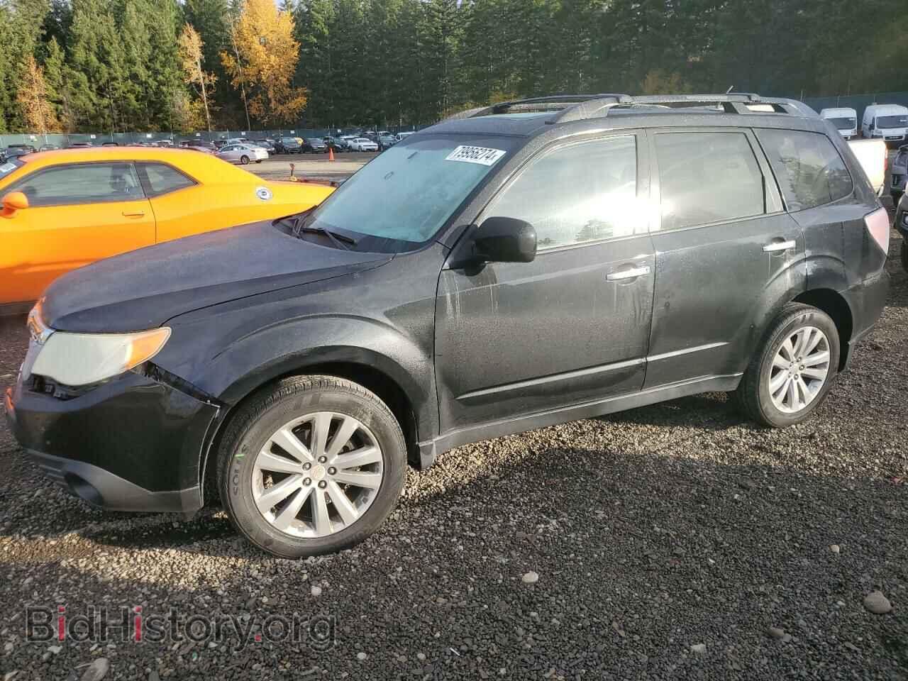 Photo JF2SHAEC0BH774426 - SUBARU FORESTER 2011
