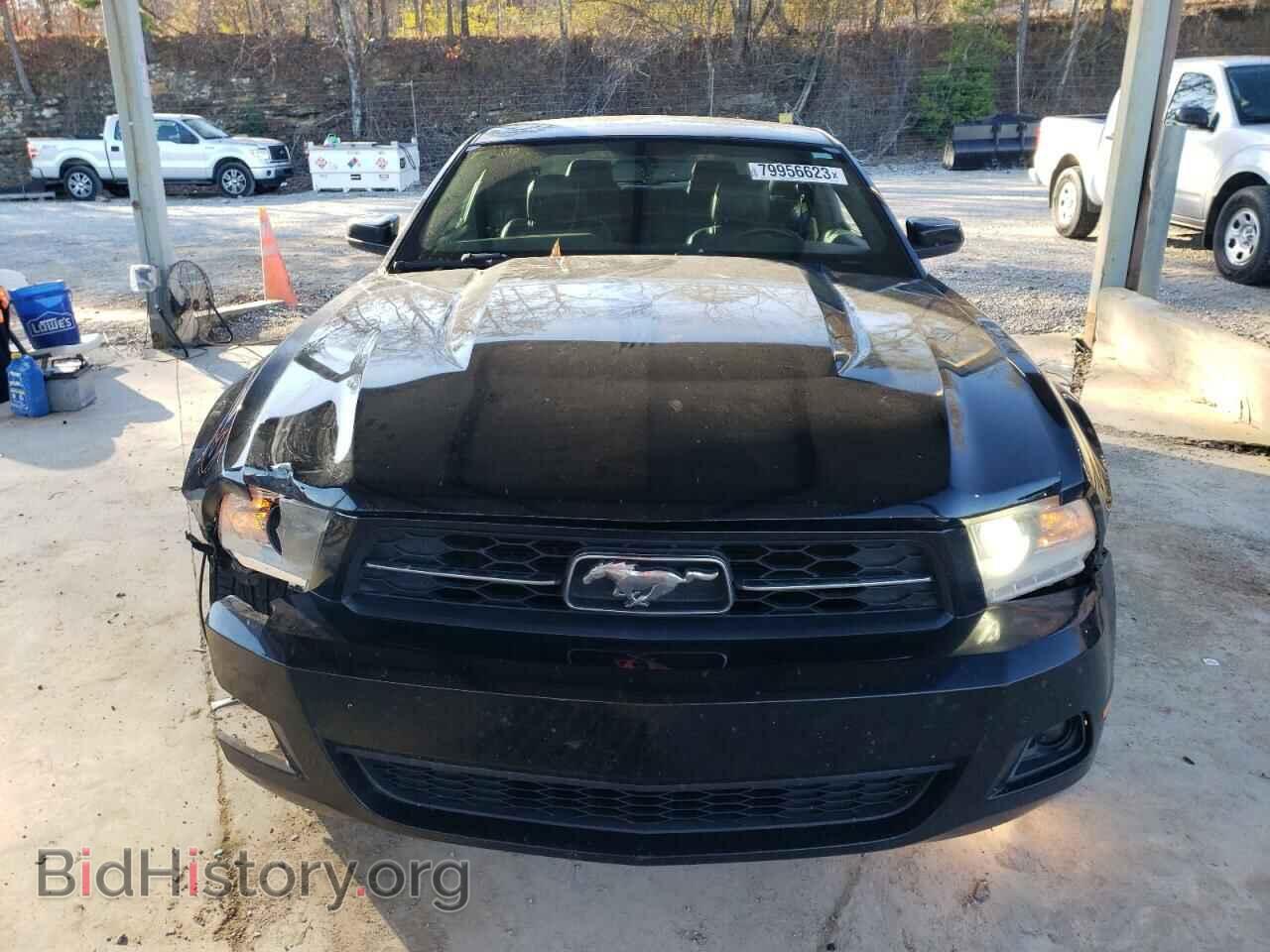 2011 FORD ALL Models - VIN: 1ZVBP8AM4B5113862 - Фото 5