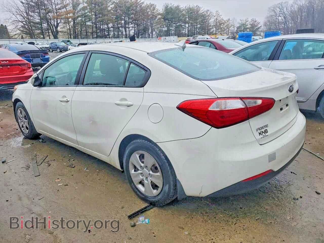 2016 KIA FORTE - VIN: KNAFK4A63G5494119 - Фото 2