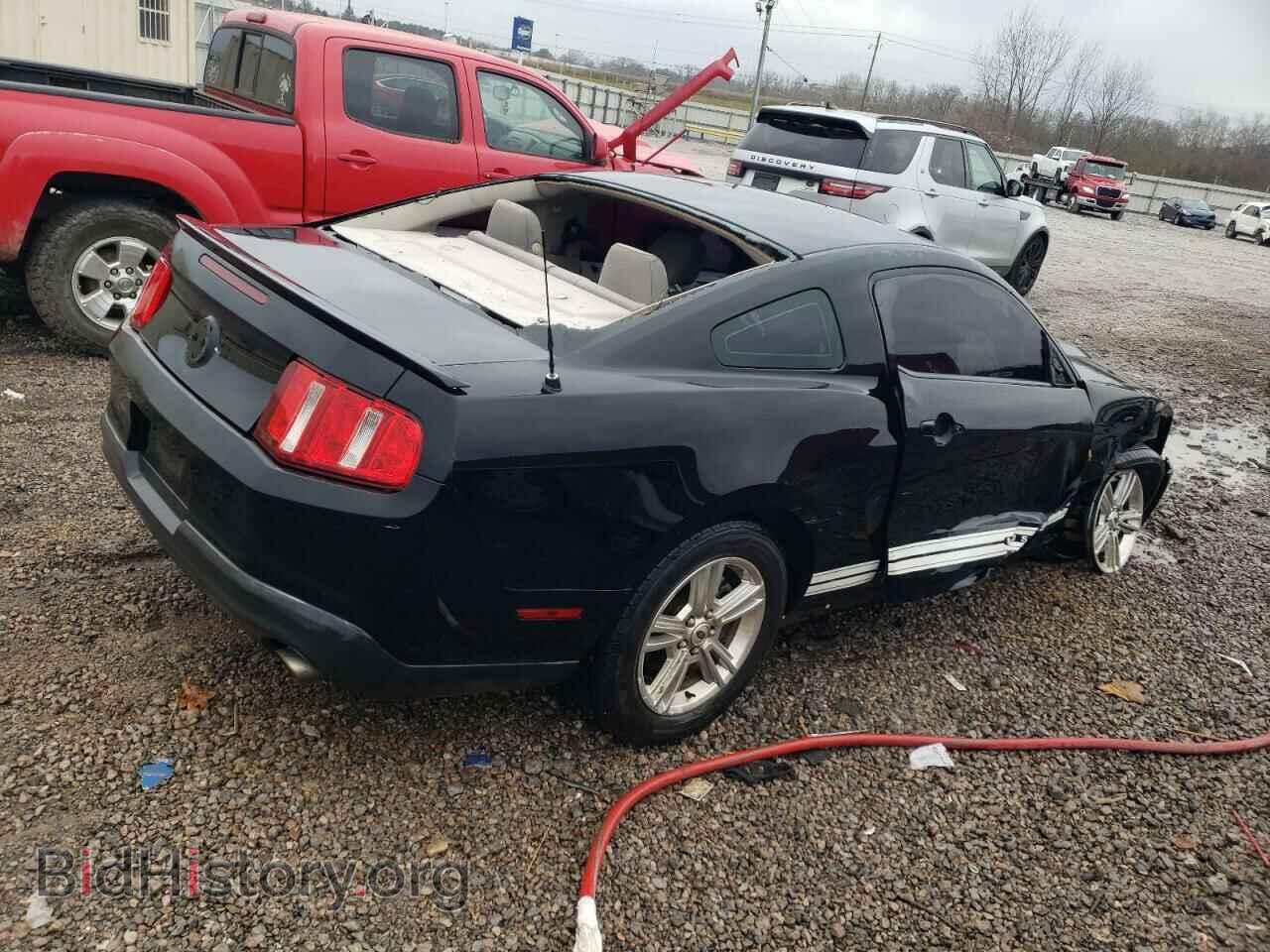 2011 FORD ALL Models - VIN: 1ZVBP8AM2B5132913 - Фото 3