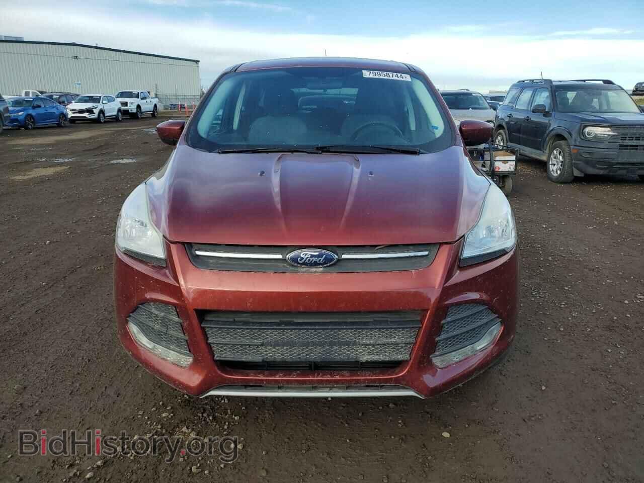 2014 FORD ESCAPE - VIN: 1FMCU0GX3EUD68320 - Photo 5