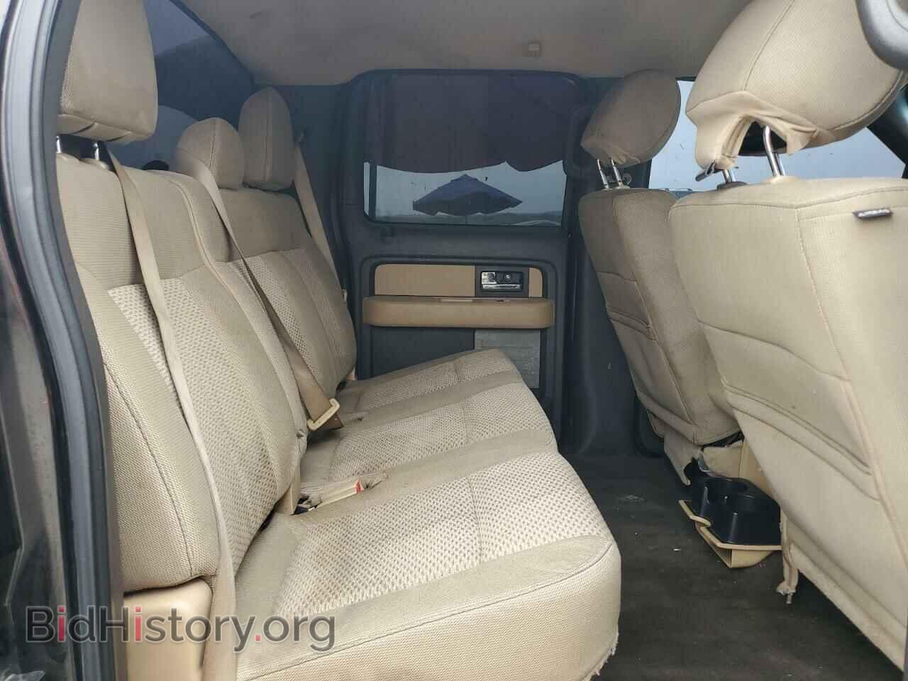 2013 FORD F-150 - VIN: 1FTFW1EF1DFA76146 - Фото 10