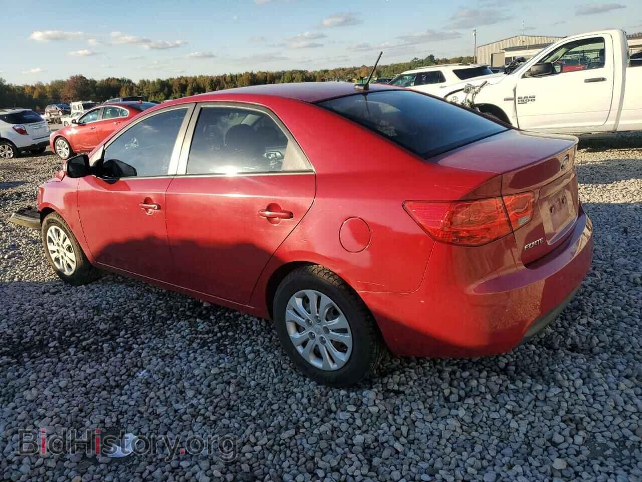 2013 KIA FORTE - VIN: KNAFU4A21D5646689 - Фото 2