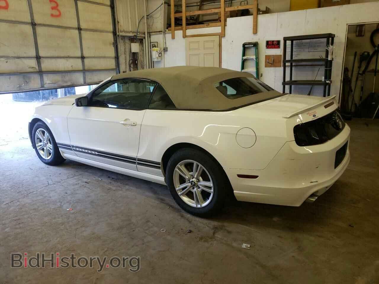 2013 FORD ALL Models - VIN: 1ZVBP8EM3D5217031 - Фото 2