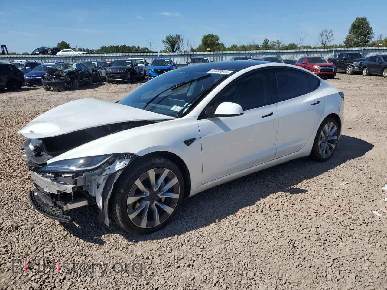 Photo 5YJ3E1EB4RF768223 - TESLA MODEL 3 2024