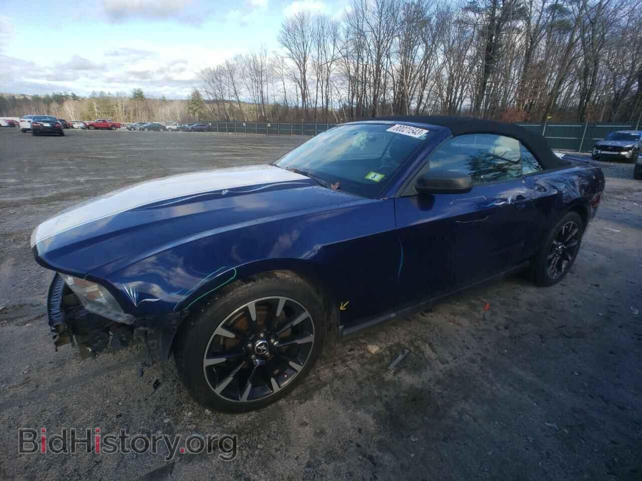 Photo 1ZVBP8EN4A5164005 - FORD ALL Models 2010