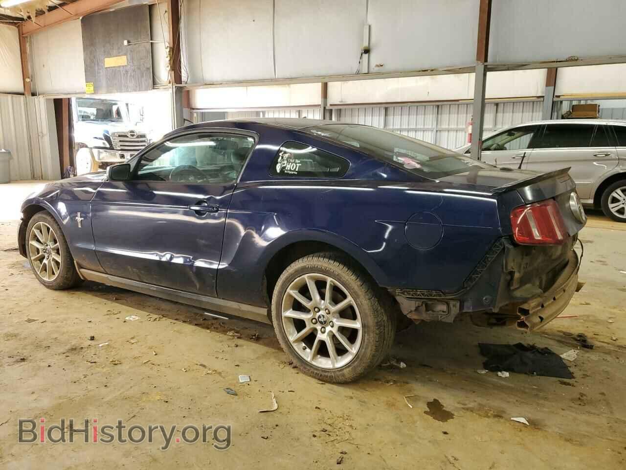 2010 FORD ALL Models - VIN: 1ZVBP8AN5A5123534 - Фото 2