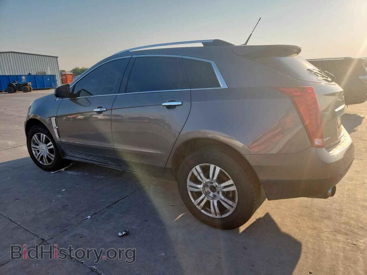 2011 CADILLAC SRX - VIN: 3GYFNAEY1BS559031 - Фото 2