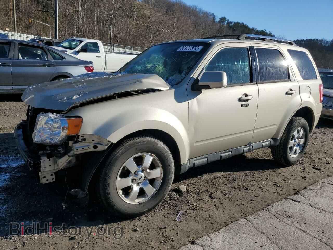 Photo 1FMCU9EG1BKC65833 - FORD ESCAPE 2011