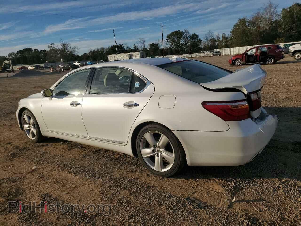 2011 LEXUS LS460 - VIN: JTHGL5EF1B5044500 - Photo 2