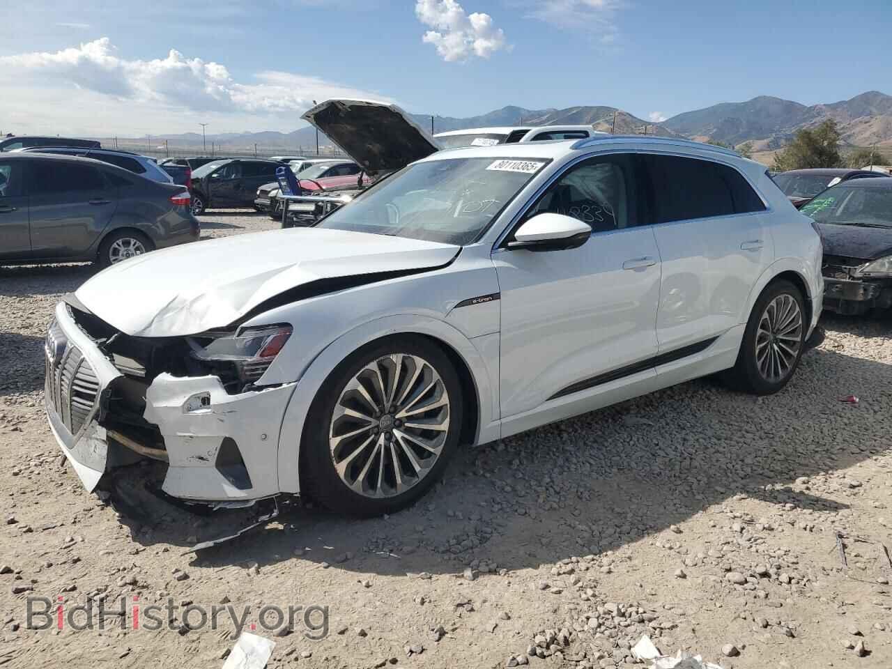 Photo WA1VAAGE6KB007353 - AUDI E-TRON 2019