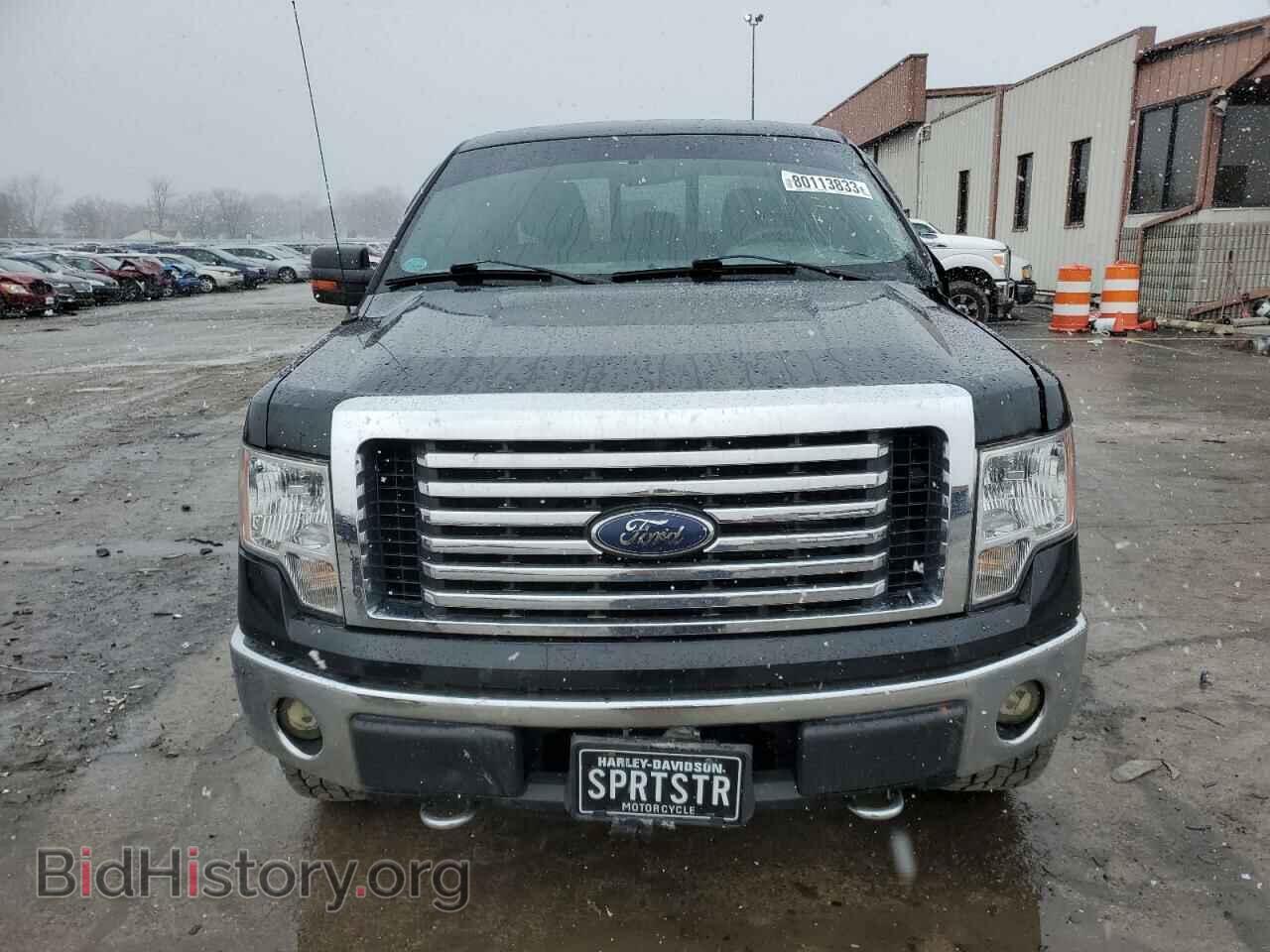 2011 FORD F-150 - VIN: 1FTFX1EF9BFA39291 - Фото 5