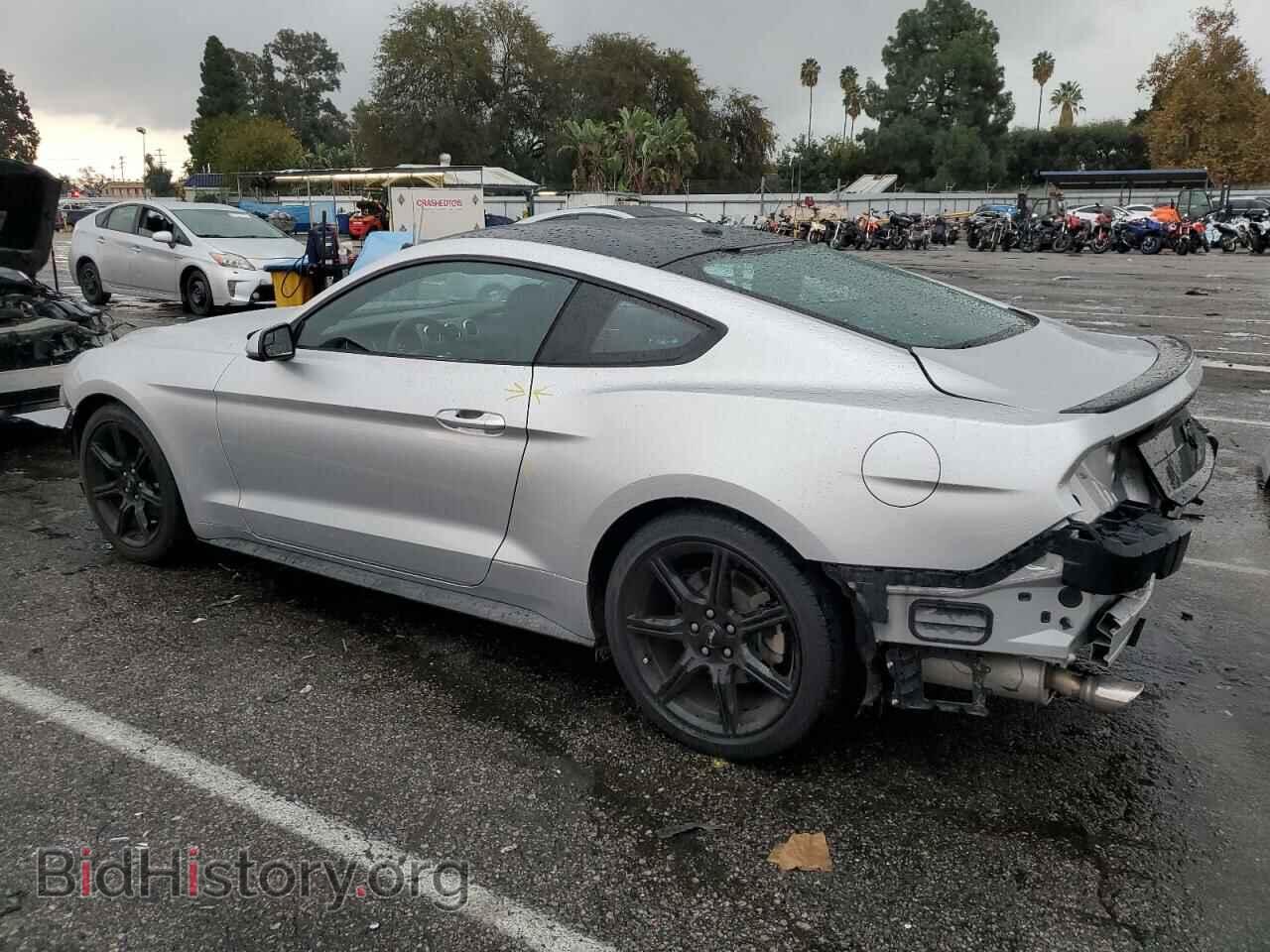 2019 FORD ALL Models - VIN: 1FA6P8TH6K5202424 - Фото 2