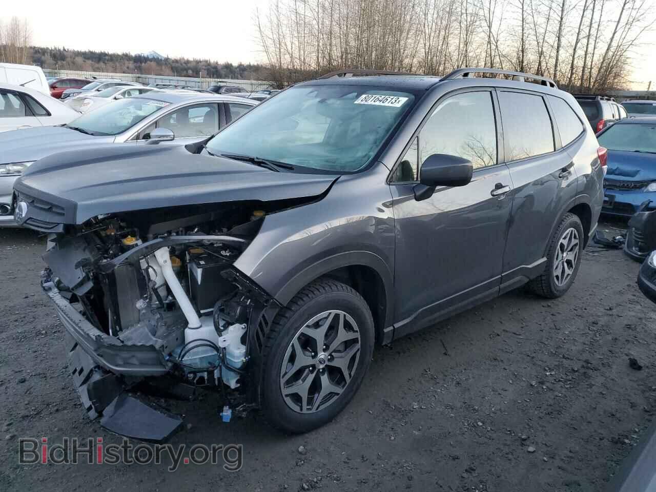 Photo JF2SKAEC4PH524860 - SUBARU FORESTER 2023