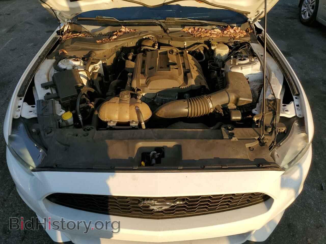 2015 FORD ALL Models - VIN: 1FA6P8TH7F5335912 - Фото 11