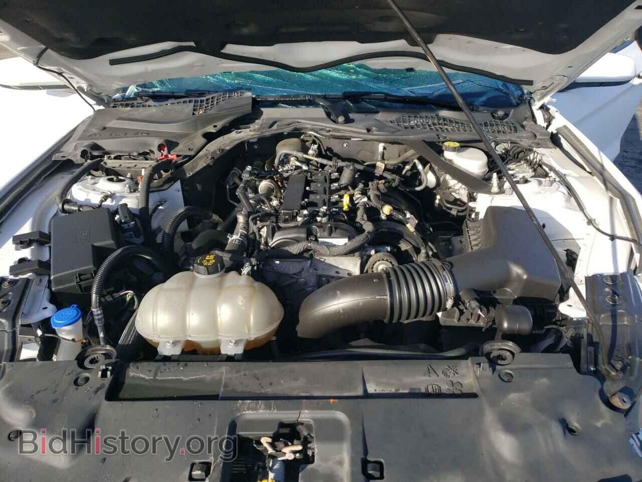 2021 FORD ALL Models - VIN: 1FATP8UH1M5108200 - Photo 11