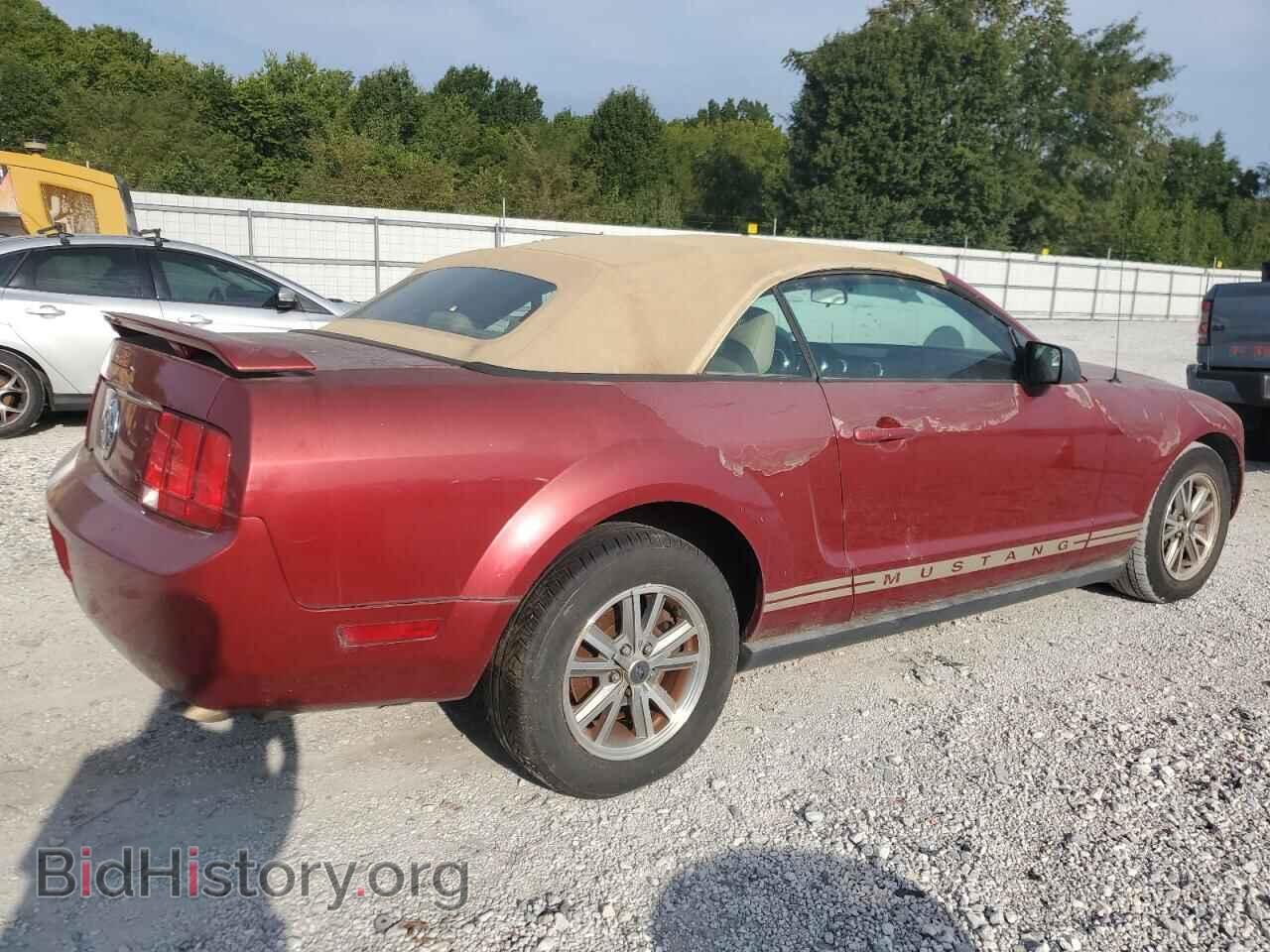 2005 FORD ALL Models - VIN: 1ZVFT84N755198962 - Фото 3