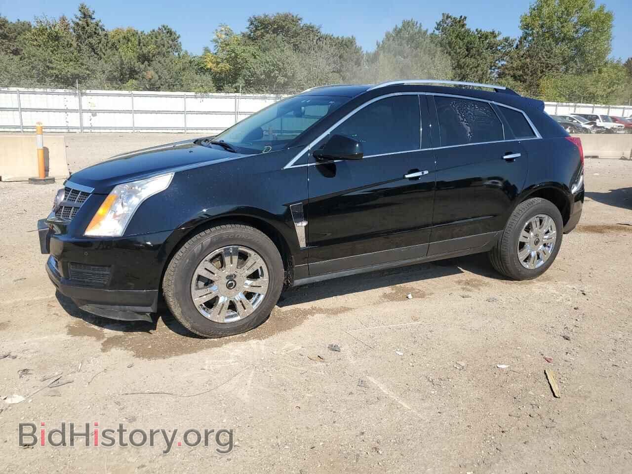 Фотография 3GYFNDE37CS570879 - CADILLAC SRX 2012