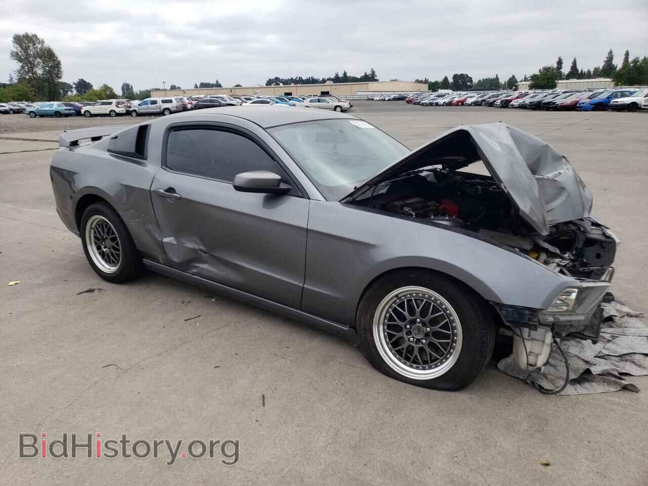 2013 FORD ALL Models - VIN: 1ZVBP8AM6D5245329 - Фото 4