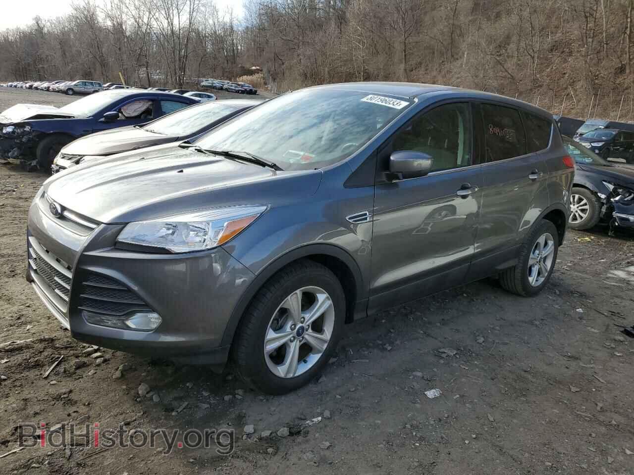Photo 1FMCU0GX1EUD02459 - FORD ESCAPE 2014