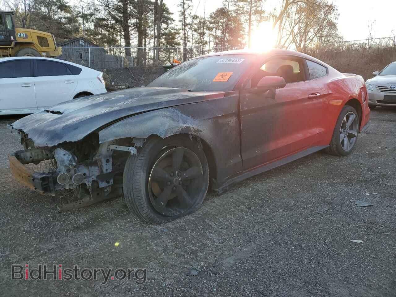 Photo 1FA6P8AM9H5331797 - FORD ALL Models 2017