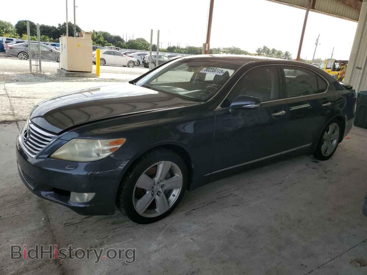 Фотография JTHGL5EF9A5039964 - LEXUS LS460 2010