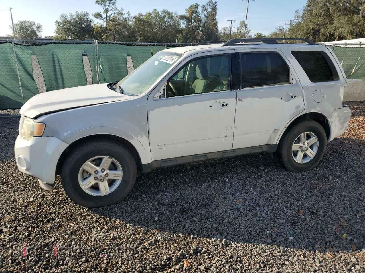 Photo 1FMCU49369KA25441 - FORD ESCAPE 2009