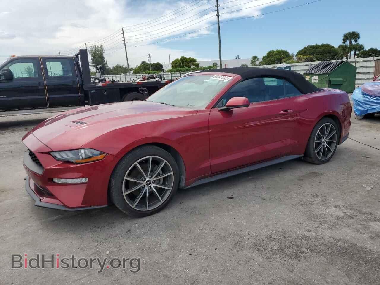 Photo 1FATP8UH4K5149899 - FORD ALL Models 2019
