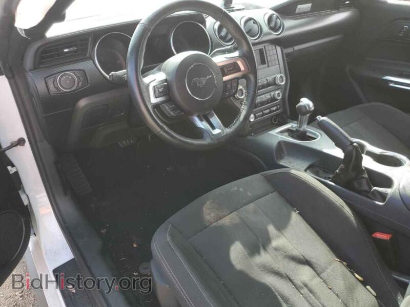 2021 Ford ALL MODELS (VIN 1FA6P8TH6M5146438) — photo 8 of 14