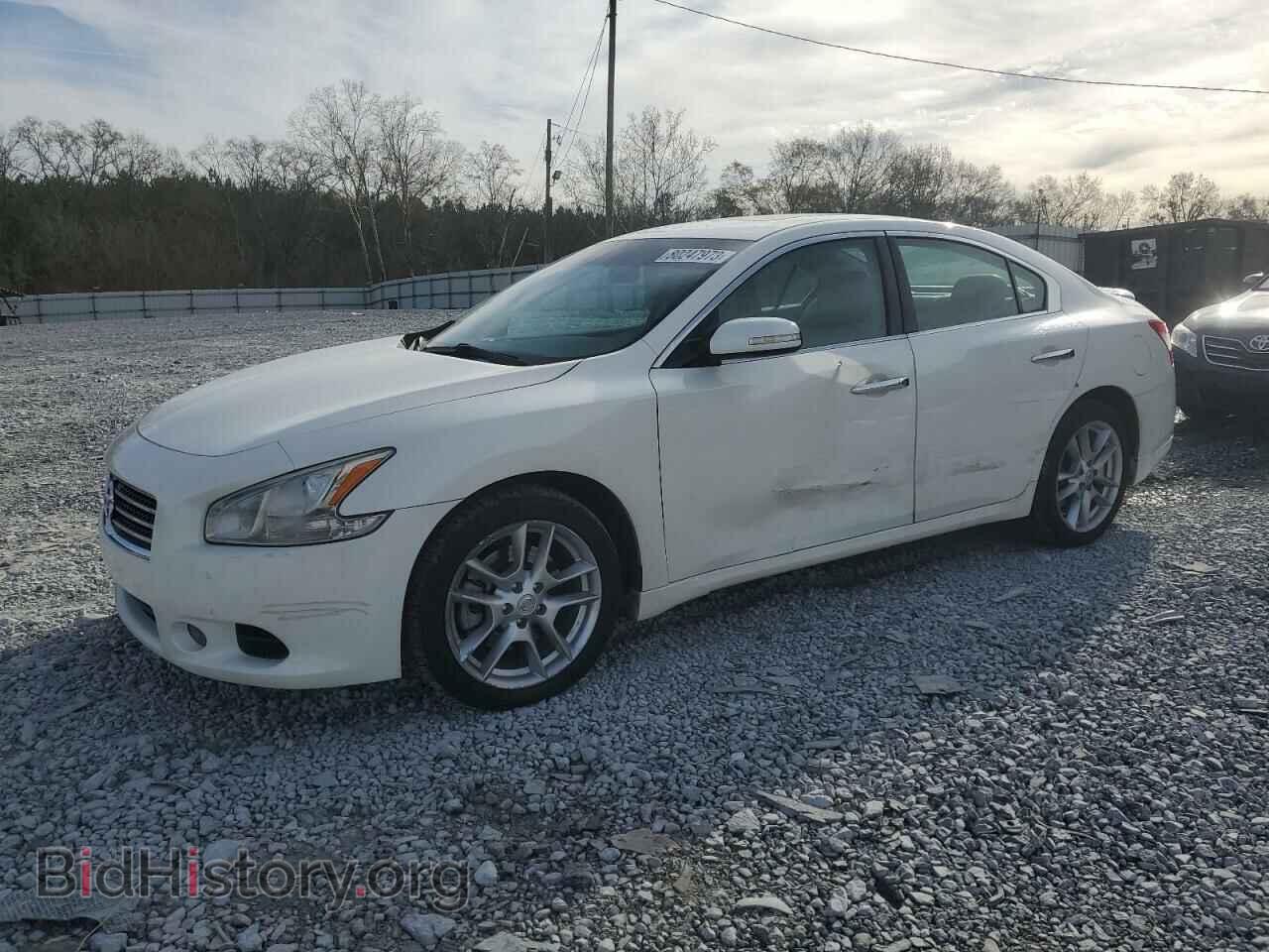 Photo 1N4AA51E89C853241 - NISSAN MAXIMA 2009
