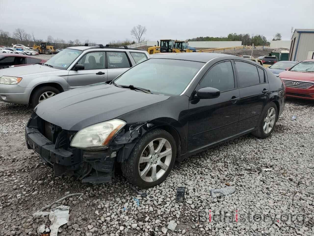 Photo 1N4BA41E28C839624 - NISSAN MAXIMA 2008