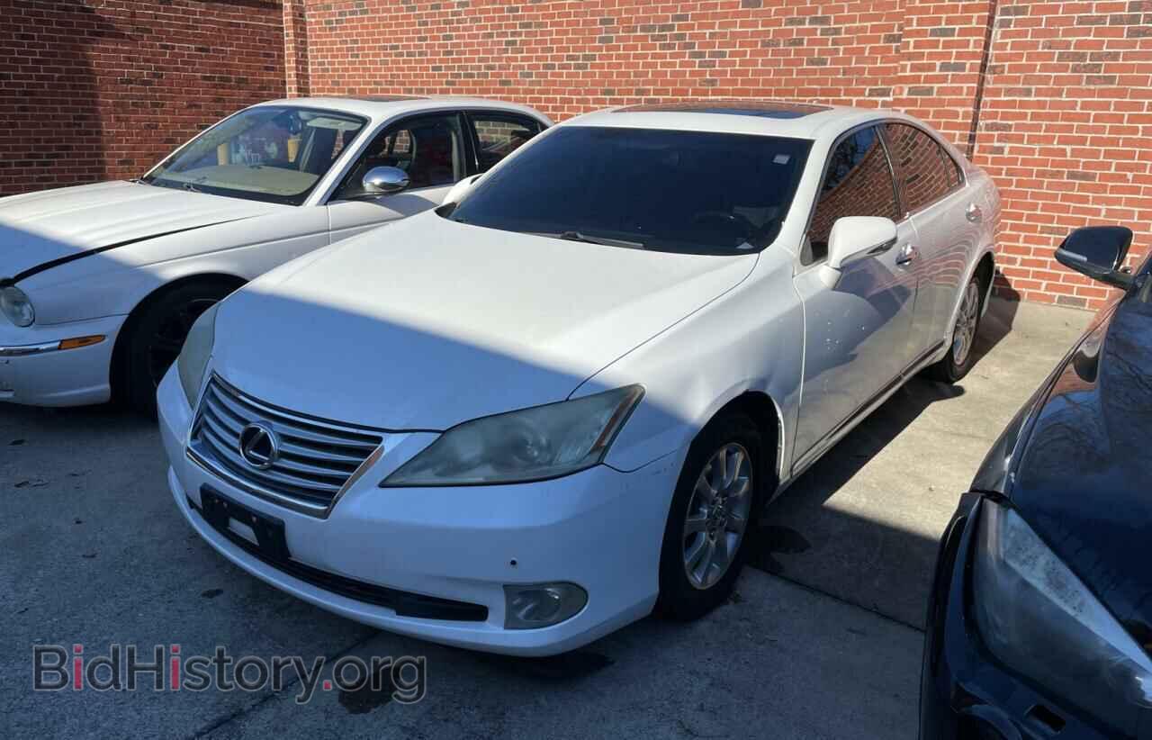 2010 LEXUS ES350 - VIN: JTHBK1EG3A2396816 - Фото 2